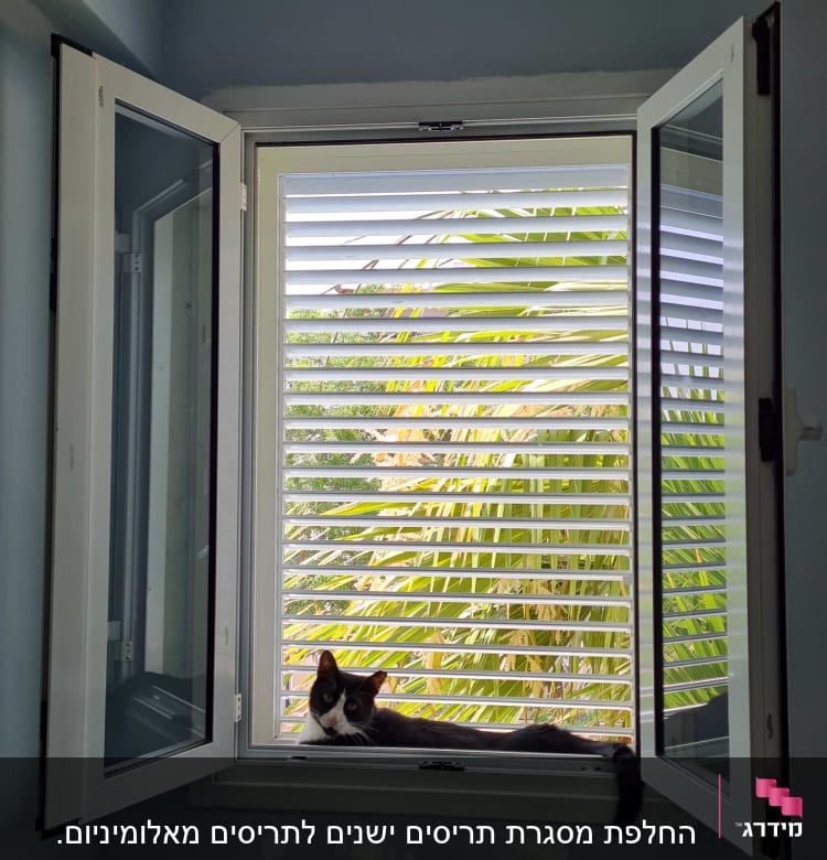 חלון אלומיניום פתוח עם תריסים לבנים